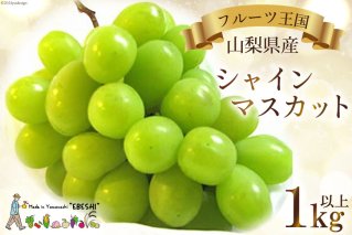 【期間限定発送】ぶどう 山梨県産 シャインマスカット1kg以上 2房 [株式会社えべし 山梨県 中央市 21470877] フルーツ 果物 くだもの ブドウ シャイン マスカット 葡萄 期間限定 季節限定