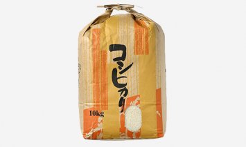 【輪島のお米】町野町産コシヒカリ10kg（精米）