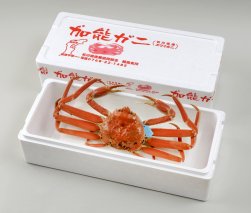 【配達日時指定できます】加能ガニ（雄ズワイガニ、冷凍）（中）【R6.1月25日以降にお届け】