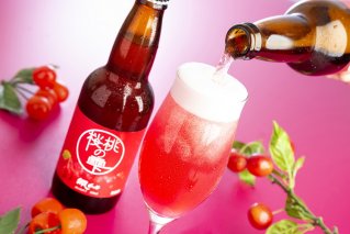 クラフトビール 地ビール 桜桃の雫24本セット(発泡酒)◇