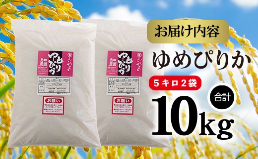 令和5年産新米』【定期便6ヶ月】北海道米「恵庭産たつやのゆめぴりか