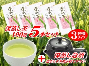 038-7　摘みたて！深蒸し茶100ｇ×5本とアイデア深蒸し急須セット