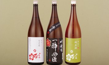 T810 純米吟醸･吟醸酒･純米酒 日本酒一升瓶3本