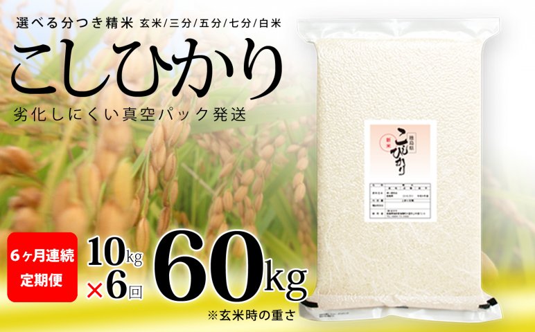 こしひかり 玄米時重量 5kg×2袋×6回 6ヶ月連続 定期便 玄米時重量60kg