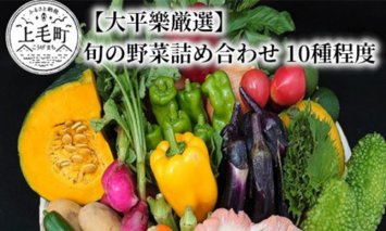 【大平樂厳選】旬の朝採れ野菜詰め合わせ 10種程度