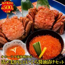 毛ガニ オホーツク流氷明けの活〆毛がにといくら醤油漬けセット