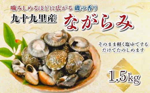 九十九里産 ながらみ 500g×3 計1.5kg ふるさと納税 ながらみ 九十九里産 貝 国産 手土産 千葉県 ひなまつり ひな祭り 雛祭り 雛まつり  節句 送料無料 SHF006 | クチコミで探すならふるさと納税ニッポン！