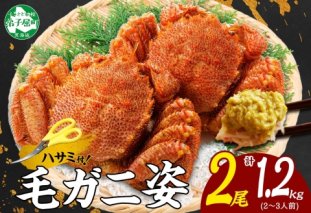 3335.毛蟹 2尾 計1.2kg前後 食べ方ガイド・専用ハサミ付 カニ かに 蟹 海鮮 ボイル 送料無料 北海道 弟子屈町