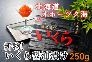 【新物!】いくら醤油漬け250g