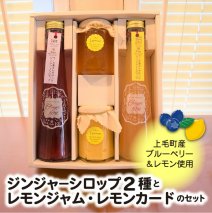 【上毛町産ブルーベリー・レモン使用】ジンジャーシロップ2種とレモンジャム・レモンカートのセット