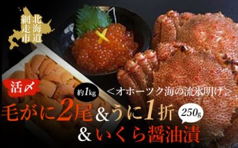 うに 北海道 海産物 ＜オホーツク海の流氷明け＞活〆毛がに2尾（合計約1kg）＆いくら醤油漬（250g）＆うに（1折）セット（網走加工）  ABAO029