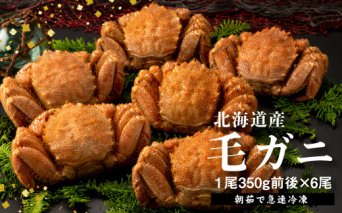 【北海道産】『冷凍』毛ガニ350g前後×6杯【急速冷凍】【520017】