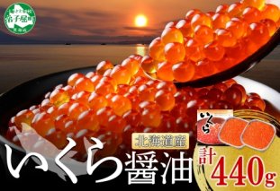 年内配送 12月15日まで受付 2993. いくら醤油漬け 220g×2個 いくら醤油 イクラ しょうゆ漬け いくら イクラ 醤油 海鮮 魚介 いくら丼 鮭 魚卵 贈答 ギフト 送料無料 北海道 弟子屈町