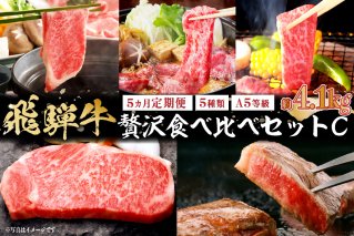 『飛騨牛』贅沢食べ比べセットC 定期便※5回に分けてのお届けとなります。（サーロインステーキ800g・ロースすき焼き用900g・ロースしゃぶしゃぶ用900g・ロース焼肉用900g・ヒレステーキ680g）【0016-101】