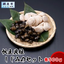 帆立玉冷500gとしじみ500gセット ABX066