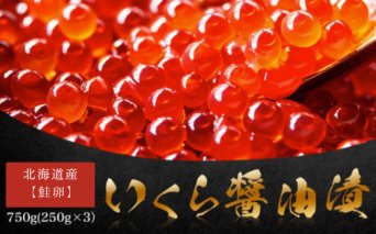 北海道産【鮭卵】 いくら醤油漬 750g(250g×3） ABW104