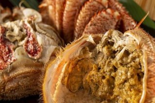 三特茹で毛がに　約670g×1尾＜網走産＞◆≪毛蟹 毛ガニ かにみそ カニ味噌 蟹味噌 毛ガニボイル カニボイル 冷凍≫