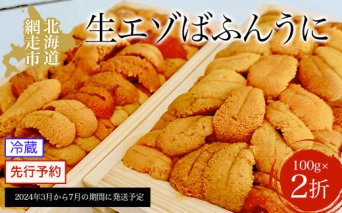 【ふるさと納税】【先行予約】網走産 生エゾばふんうに 冷蔵100g×2折（2024年3月から7月の期間に発送予定）  ABC009