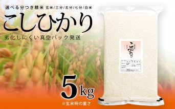 【先行予約】こしひかり 玄米時重量 5kg 分づき米 対応可 真空パック コシヒカリ 米 簡易梱包 エコ梱包【８月下旬以降順次お届け】