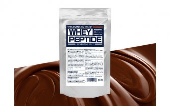 No.539 （ミルクチョコレート味）ホエイペプチド500g ／ たんぱく質 栄養補給 ホエイプロテイン 埼玉県