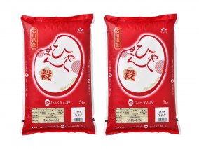 石川県オリジナル米「ひゃくまん穀」10kg（5kg×2袋）（精米）