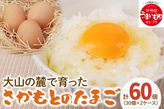 たまご 60個 (30個×2ケース)｜坂本養鶏 大山の麓で育ったさかもとのたまご 赤玉卵 玉子 鶏卵 [0089]