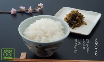 B12-025 特別栽培米 さがびより（７kg）