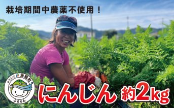 日本を平和にする人参 Peace&Carrots 約２㎏セット 人参 約2kg 栽培期間中 農薬不使用 にんじん ニンジン 野菜 カロテン 食物繊維 栽培期間中農薬不使用