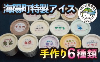 海陽町特製アイス　ユニークな味６種類セット！