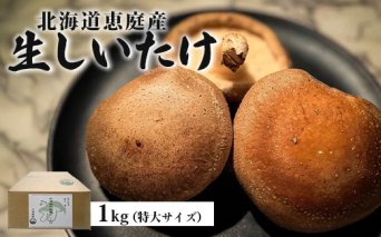 【先行予約】《数量限定》北海道恵庭産生しいたけ1kg（特大サイズ）【800004】