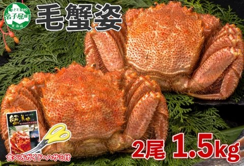 1219.毛蟹 2尾 計1.5kg前後 食べ方ガイド・専用ハサミ付 カニ かに 蟹