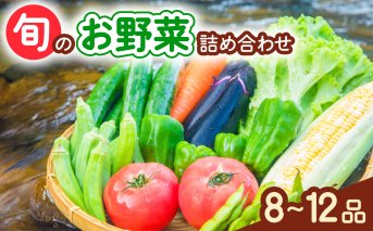阿波の国海陽町　旬のお野菜詰め合わせセット8‐12品