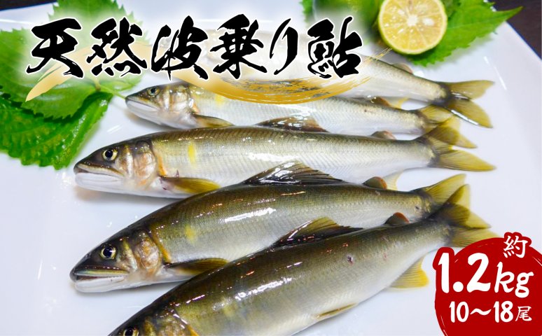 天然鮎 あゆ 鮎 友釣りで釣った天然鮎56匹約2.4キロ 冷凍鮎 鮎の塩焼き、唐揚げなどに - 魚介類