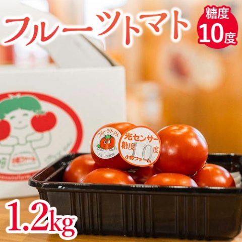 フルーツトマト糖度10度 1.2kg ※2024年1月上旬～4月下旬頃に順次発送