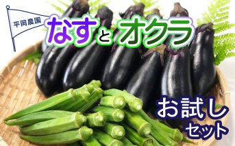 先行予約 夏野菜 おためし セット なす おくら 野菜 茄子 ナス オクラ 産地直送 天敵栽培 期間限定 【2024年7月以降発送】