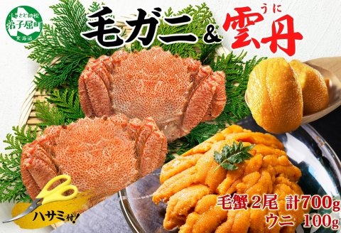 2460. 毛蟹 2尾 計700g前後 うに チリ産 冷凍 100g 専用ハサミ・食べ方ガイド付き 毛ガニ 毛がに 蟹 カニ かに 蟹肉 カニ味噌  ウニ 雲丹 海鮮 ボイル 北海道 弟子屈町 | クチコミで探すならふるさと納税ニッポン！