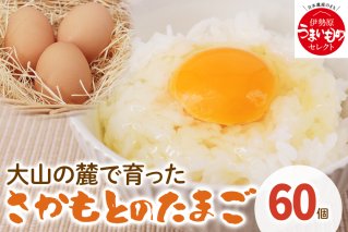 たまご 60個｜坂本養鶏 大山の麓で育ったさかもとのたまご 赤玉卵 玉子 鶏卵 [0088]