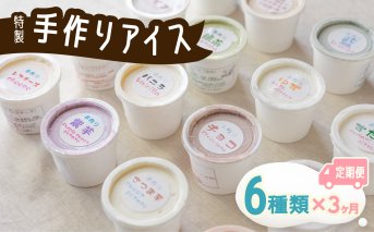 【定期便連続３か月】海陽町特製アイス　ユニークな味アイスクリーム６種類セット！