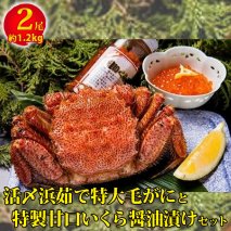毛ガニ 活〆浜茹で毛がにと特製甘口いくら醤油漬けセット