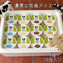 ひらかわ牧場のしぼりたて生乳で作ったアイスクリーム【人気の4種24個入り】