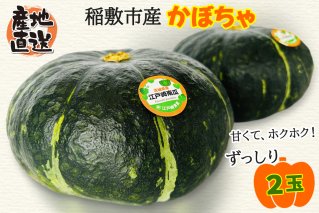 稲敷市産 かぼちゃ 1箱(2個入)GI認証なし 産地直送 採れたて完熟！大野さんのかぼちゃ｜南瓜 カボチャ 稲敷 江戸崎地区 完熟 [1023]