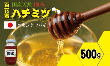 B115-028 はちみつ（日本蜜蜂）蜂蜜（百花蜜）500g 西山養蜂