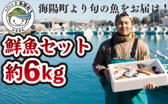 産地直送！ 海陽町より旬の魚をお届け！ 鮮魚セット 大セット 約６kg  詰め合わせ