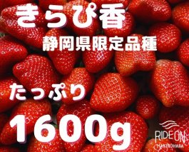 120-9　静岡県限定品種いちご「きらぴ香」たっぷり 1.6kg（800g×2）