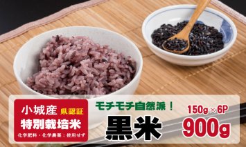 B115-006 モチモチ自然派食・特別栽培認定「黒米」150g×6個