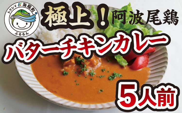 ふるさと納税 徳島県 海陽町 DMVカレー５食セット カレー レトルト