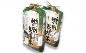 新米【令和6年産】こめ工房水飼 特別栽培米コシヒカリ 10kg (5kg×2袋)｜お米 おこめ 精米 直送 稲敷 [1080]