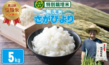 B120-019 2023お米番付「優秀賞」！佐賀県認定 特別栽培米 「農薬：栽培期間中不使用」 無洗米 さがびより （ 5kg ）