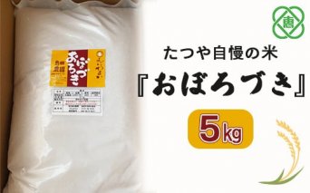 【北海道産】たつや自慢の米『おぼろづき』　5kg　【350015】