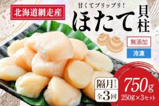【全3回（隔月）】網走前浜産 無添加ホタテ貝柱750g（250g×3袋） ABAI034